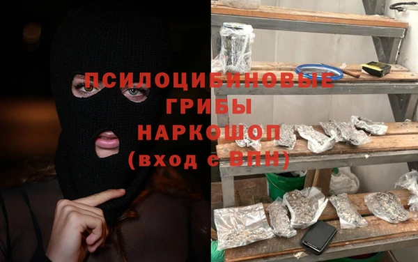 мяу мяу мука Бородино