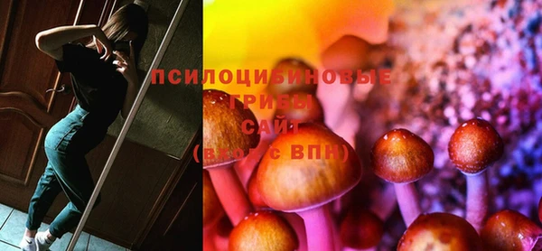 spice Волосово