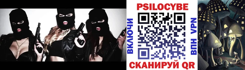 Купить закладки  Медногорск  Псилоцибиновые грибы мицелий 