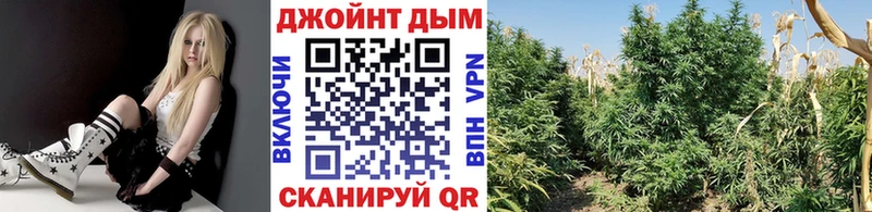 Купить  Медногорск  Шишки марихуана LSD WEED 